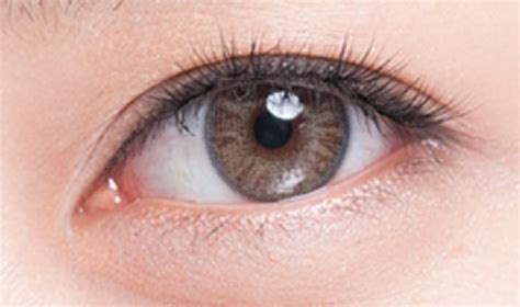 manaslecas lv|manaslecas contact lenses.